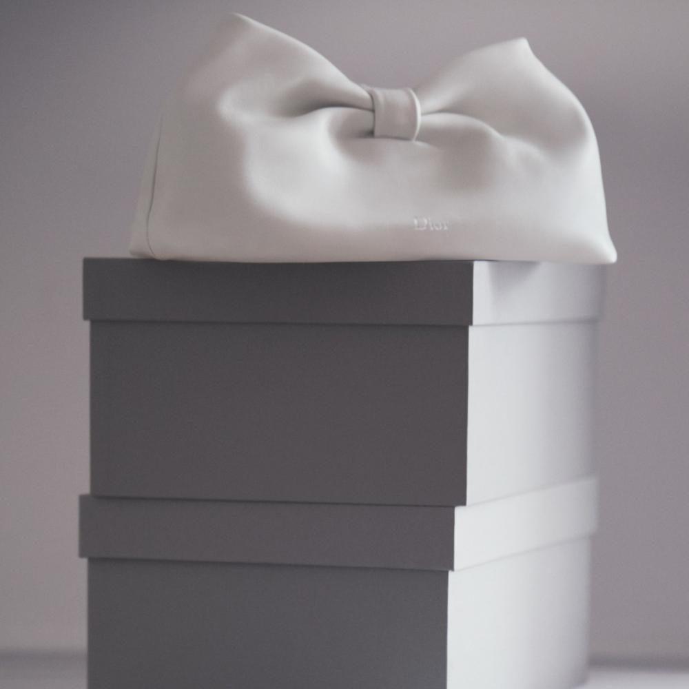 حقيبة Dior Bow 