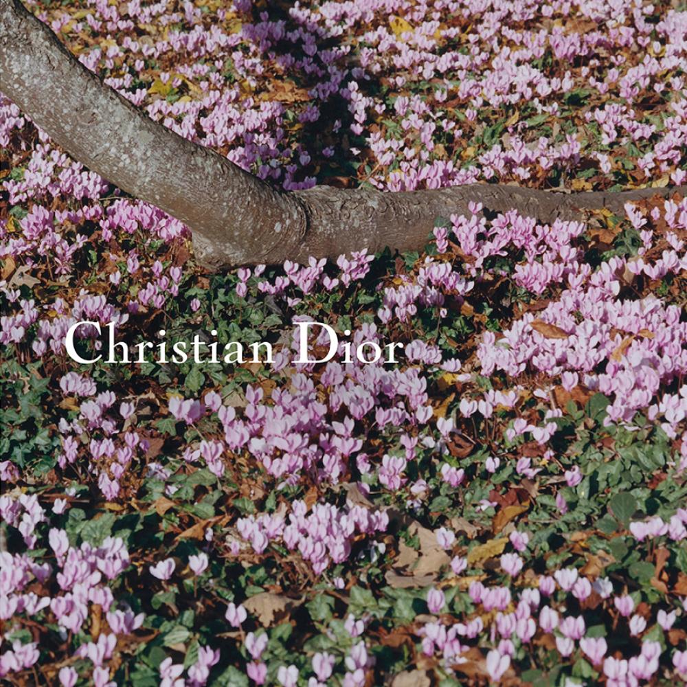 بث مباشر لعرض أزياء ديور ربيع صيف 2026