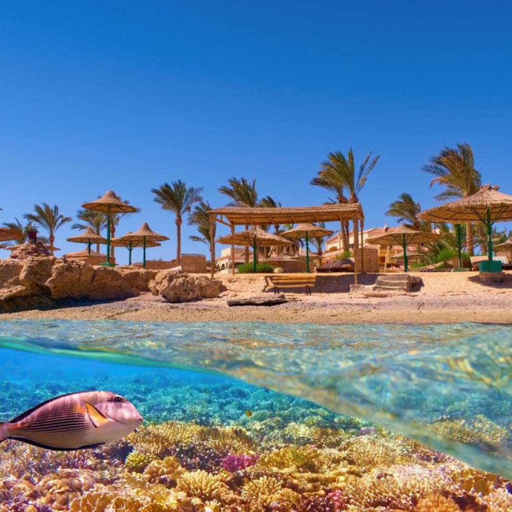 دليل هي لرحلات شهر العسل.. الغردقة عاصمة المصايف العربية