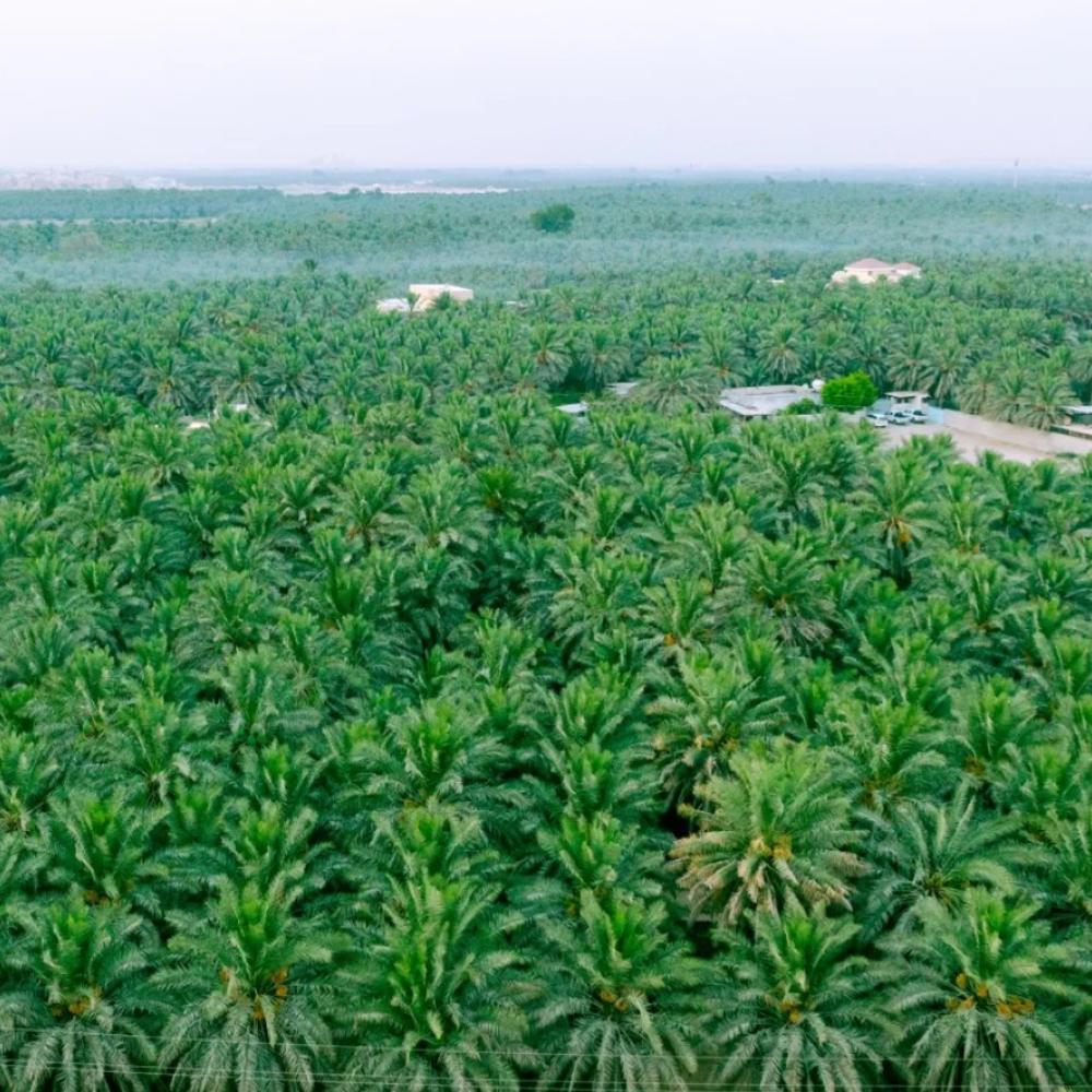 سحر الاستجمام في المنطقة الشرقية.. حيث يلتقي البحر بالتراث وتنبض اللحظات بتجارب لا تُنسى
