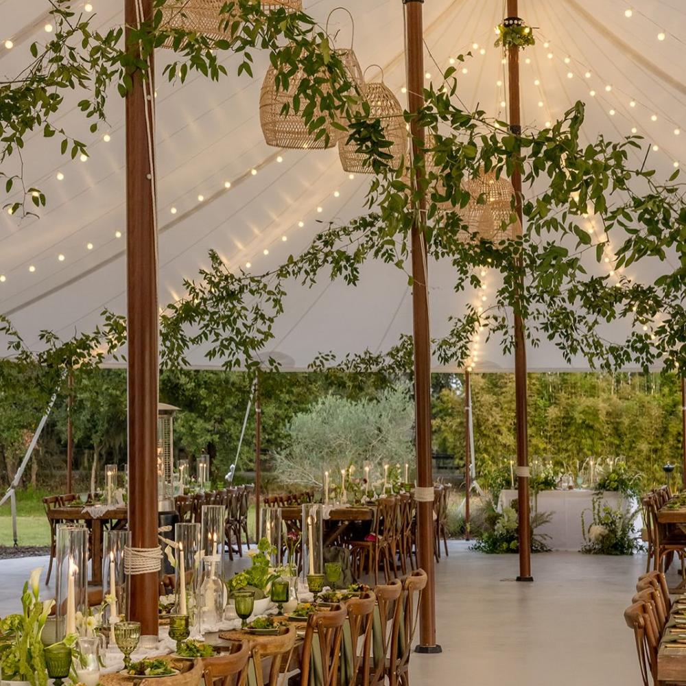 تناغم البيخ والأخضر- الصورة من flowersmith