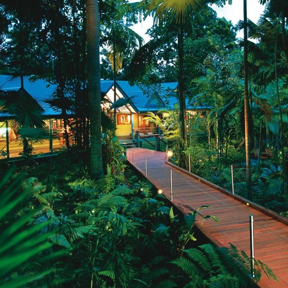 منتجع سيلكي أوكس لودج آند هيلينج ووتر سبا Silky Oaks Lodge & Healing Water Spa، غابة داينتري المطيرة، أستراليا