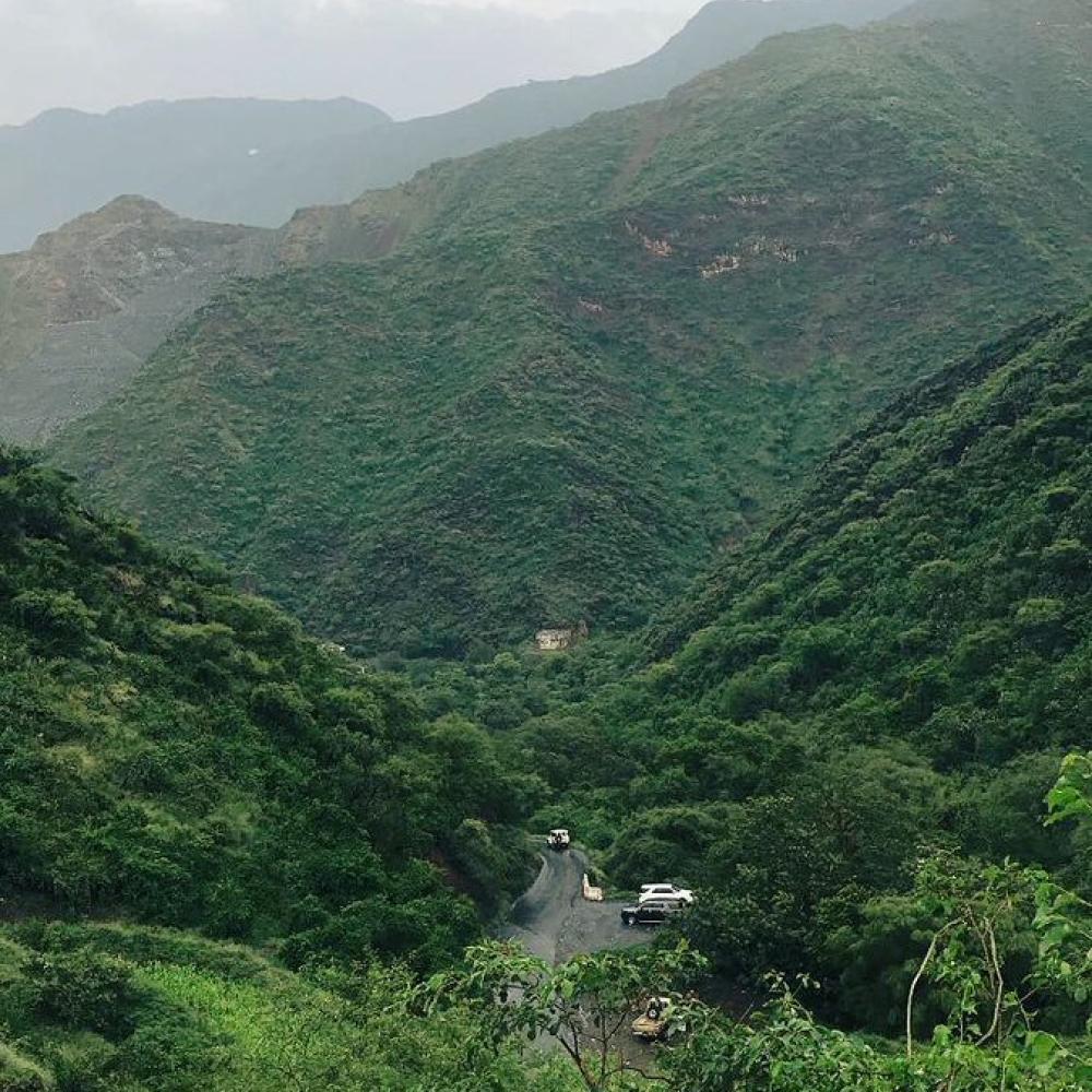 السعودية الخضراء.. المملكة تحقق إنجازًا بيئيًا بإعادة تأهيل مليون هكتار وزراعة أكثر من 159 مليون شجرة