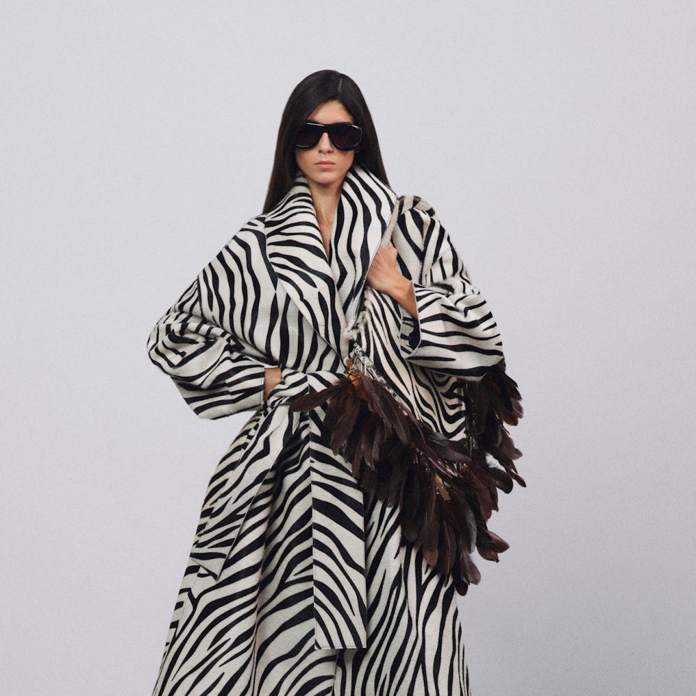 نقشة الحمار الوحشي‏