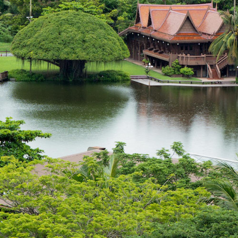 RXV Wellness Village