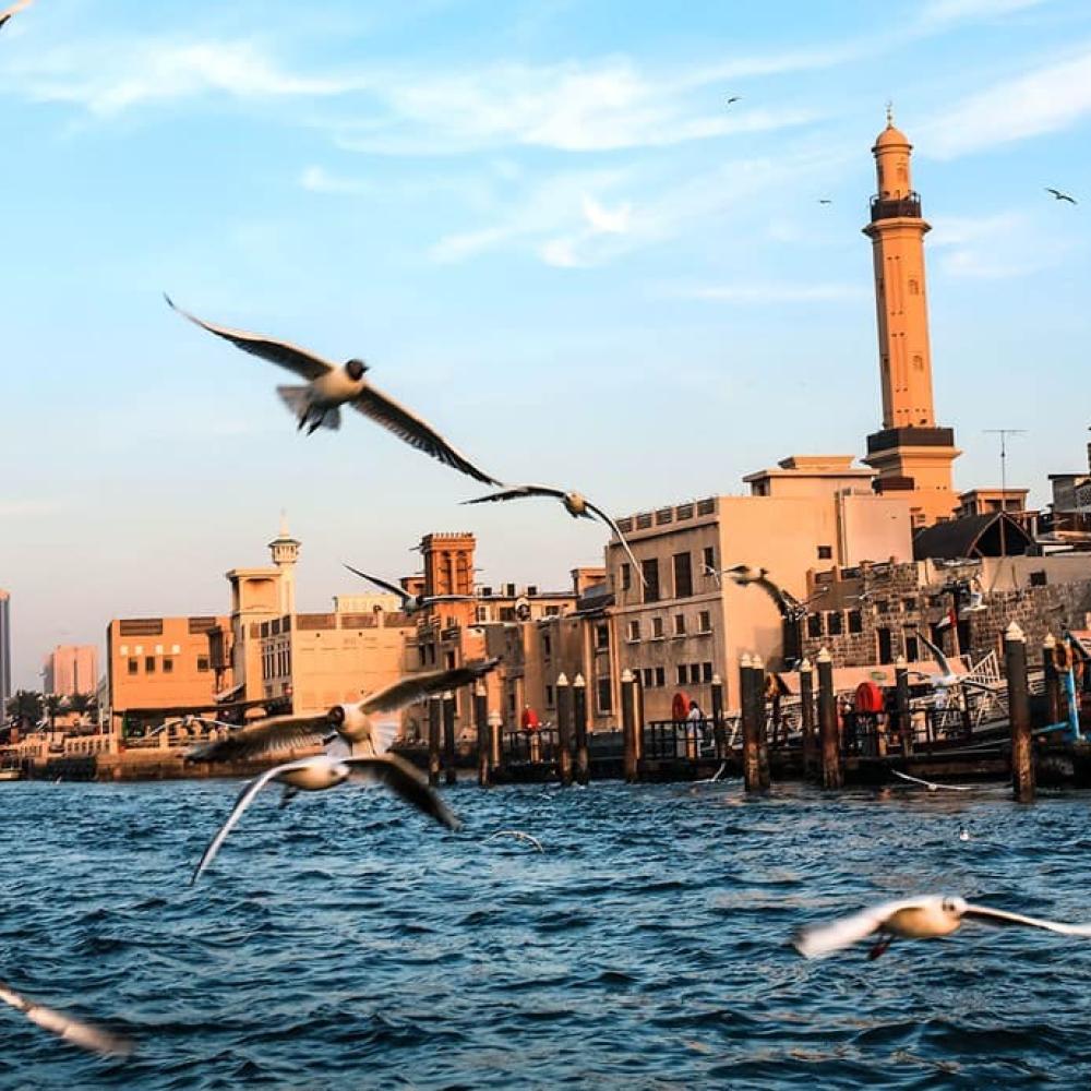 رحلة بين الماضي والحاضر في دبي.. دليلك لزيارة أفضل 10 وجهة تراثية في دبي