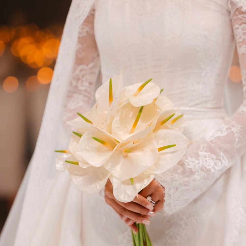 زهور الأنثوريوم البيضاء