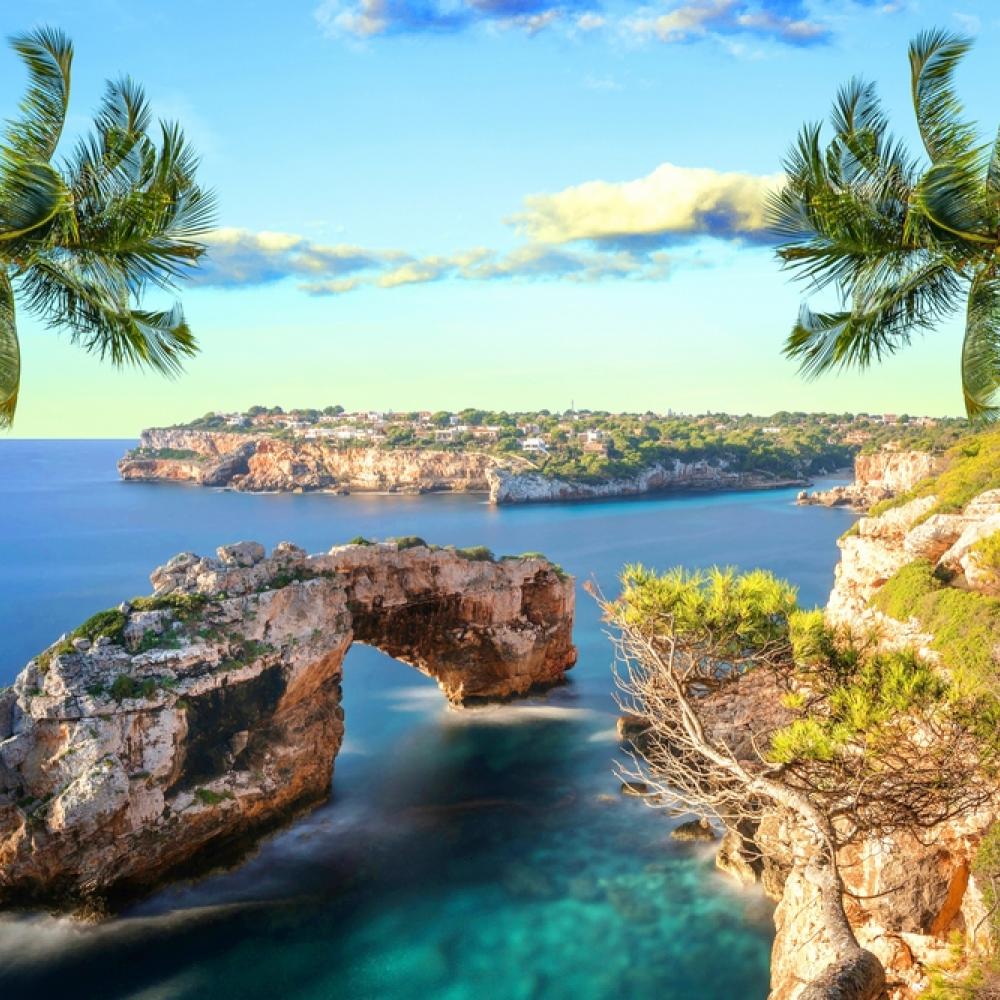 مايوركا سحر الطبيعة والرفاهية