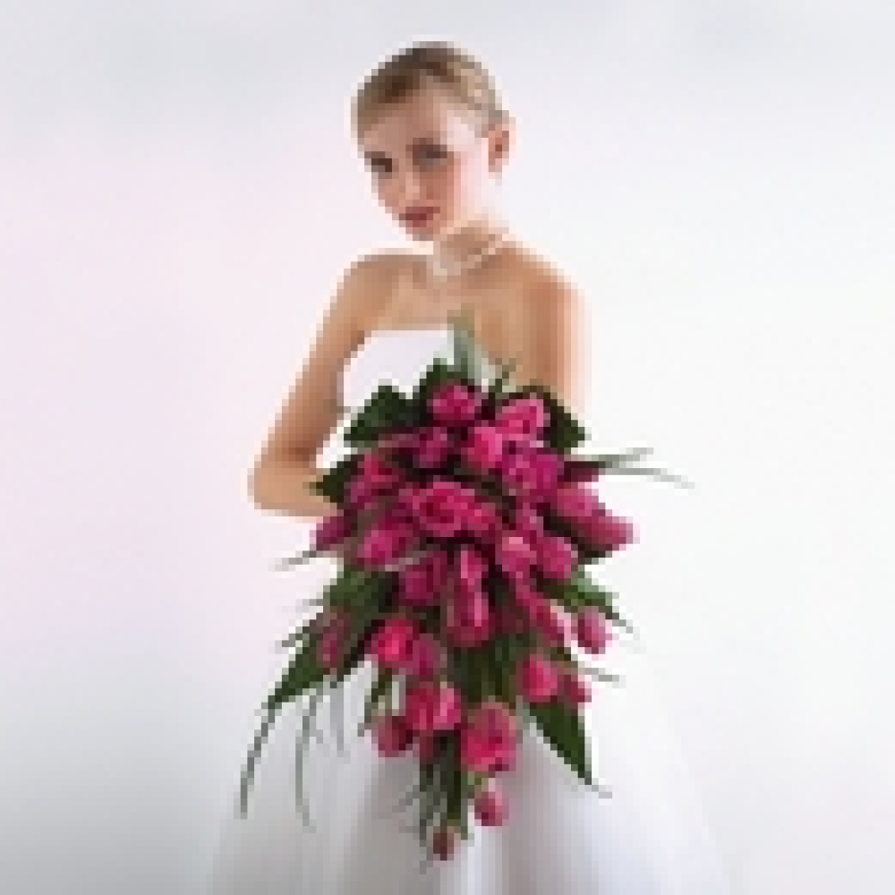 الورود ومعانيها...حب ورقة واخلاص    