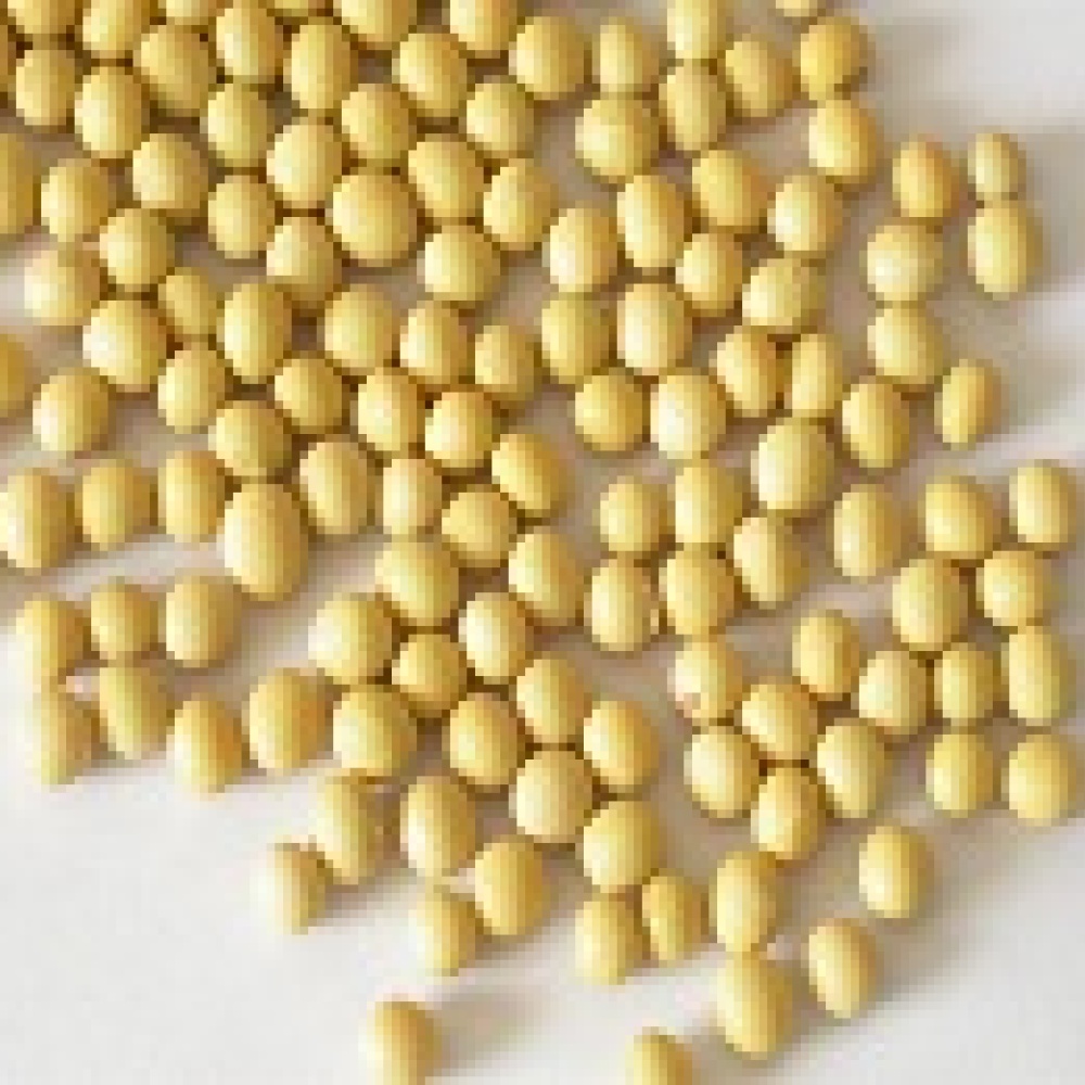 فول الصويا للوقاية من هشاشة العظام