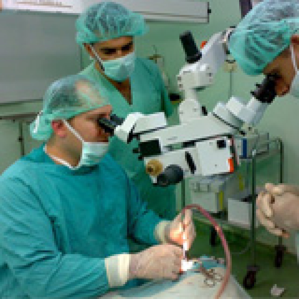 مؤتمر النور يوصي بعمليات المناظير