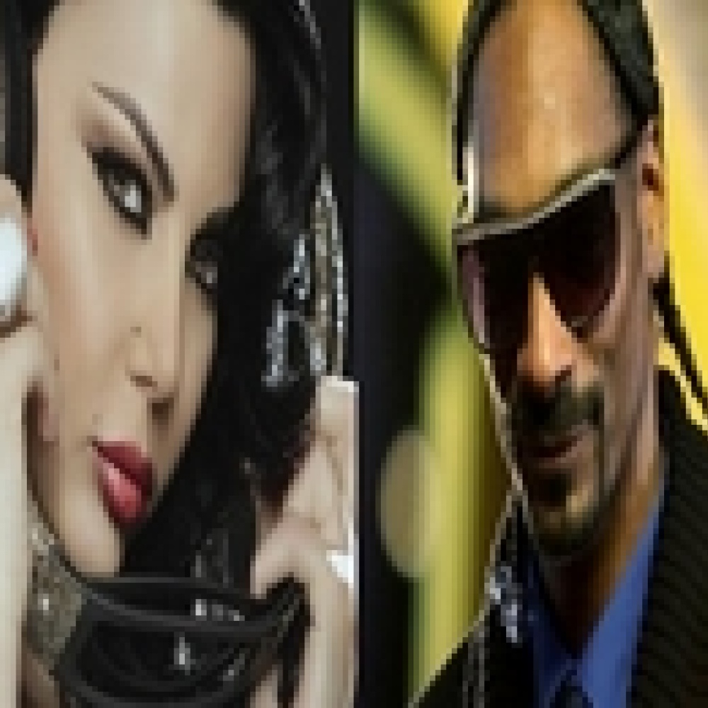 هيفاء وهبي تغني دويتو مع سنوب دوج