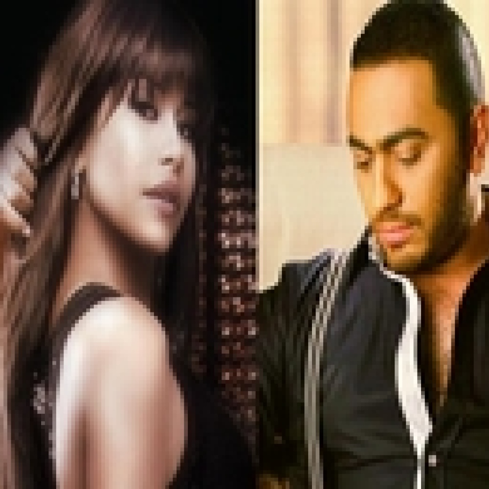 إلغاء حفل شيرين في واشنطن وتامر حسني في بلجيكا