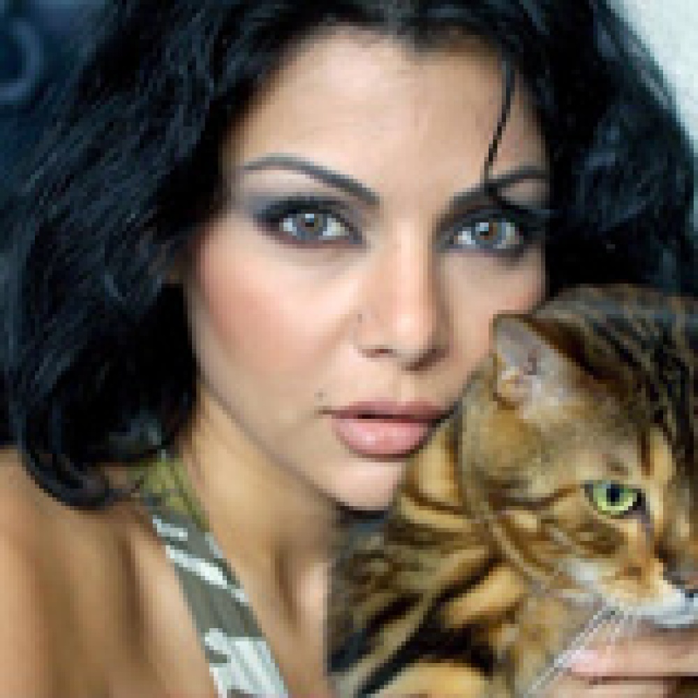 تأجيل مسلسل هيفاء وهبي  نوسة 