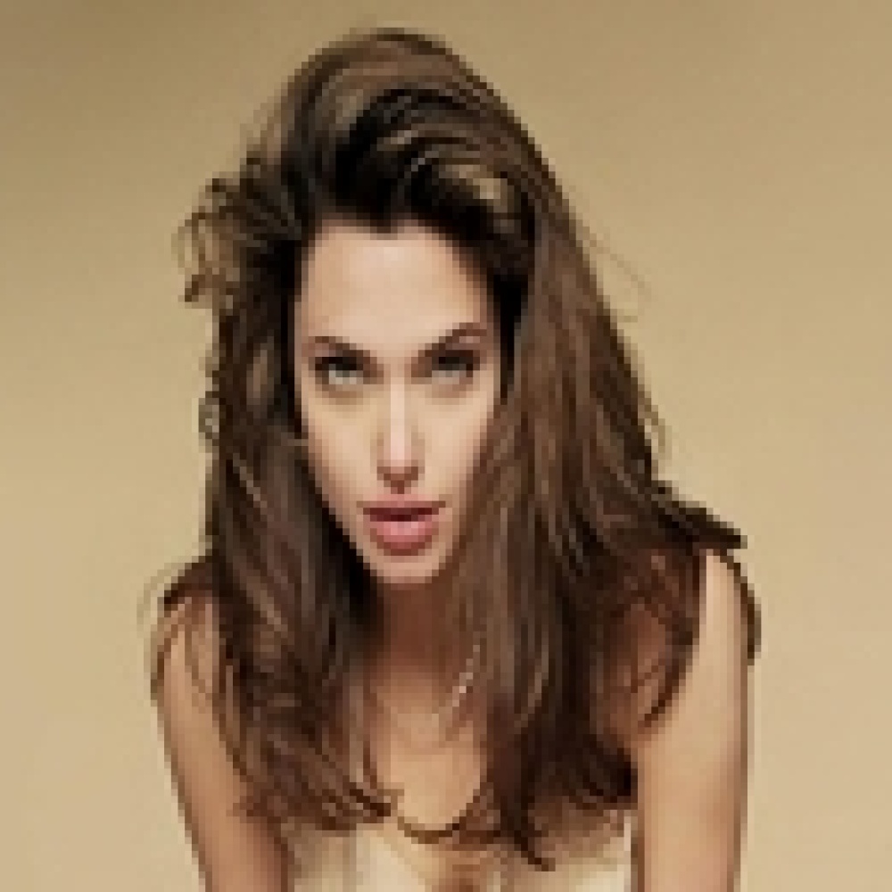 انجلينا جولي اشترت قطعتي أرض من متهم بارتكاب جرائم حرب