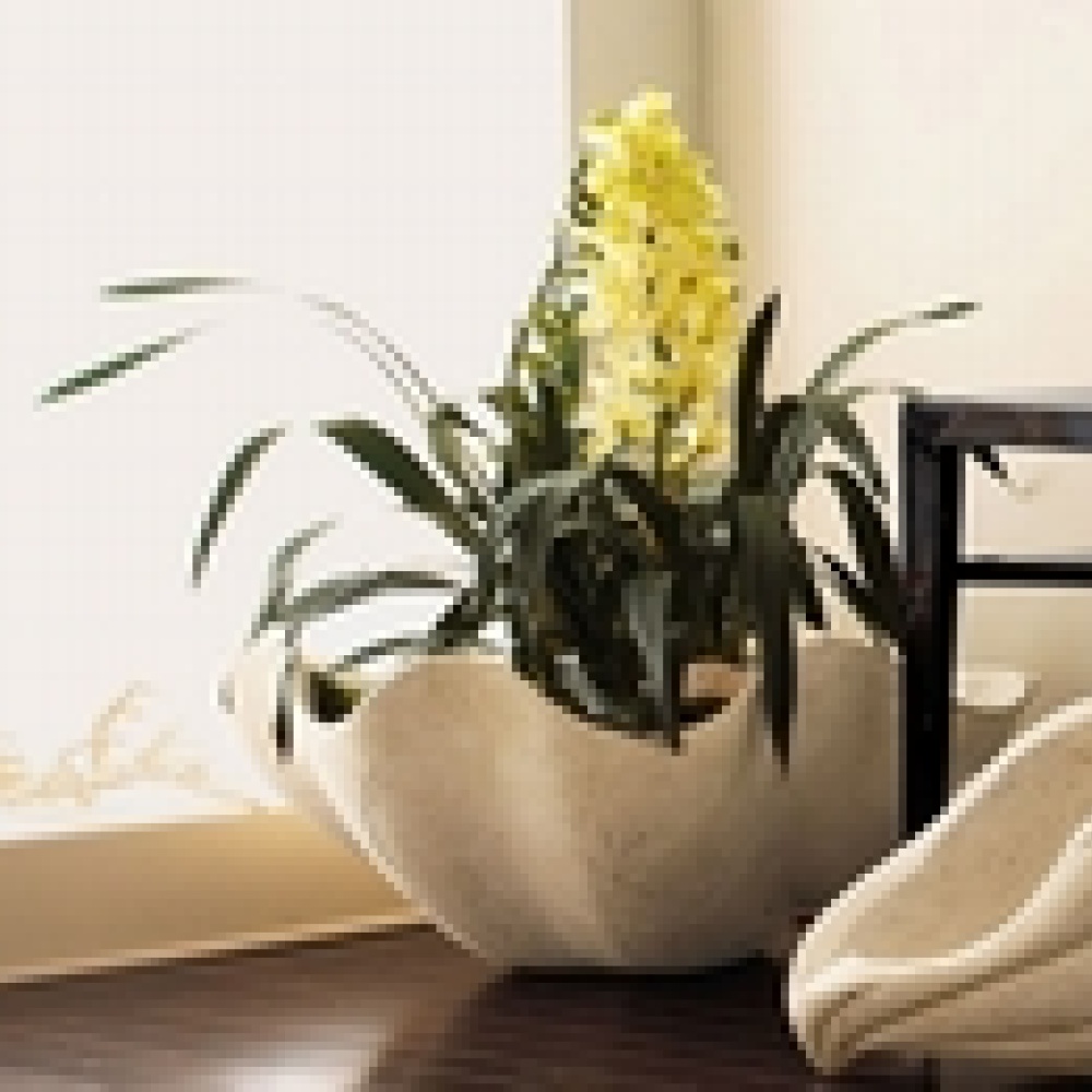 كيف تستغلين المساحات الفارغة بمنزلك