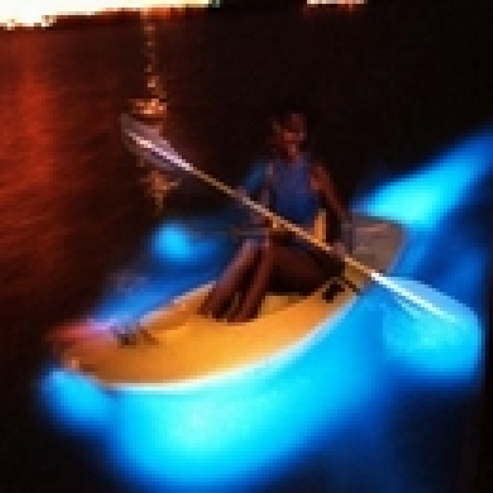 الخليج المتوهج... جمال لا ينسى