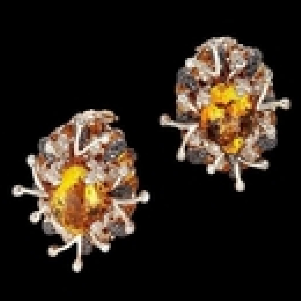 دار معوض للمجوهرات تصدر "مجموعة لافا" 