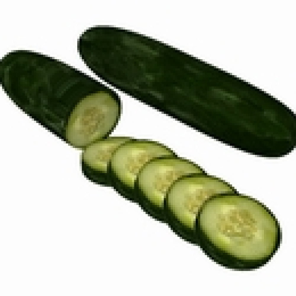 منظمة الصحة: عدوى الإي كولاي سلالة نادرة من البكتيريا