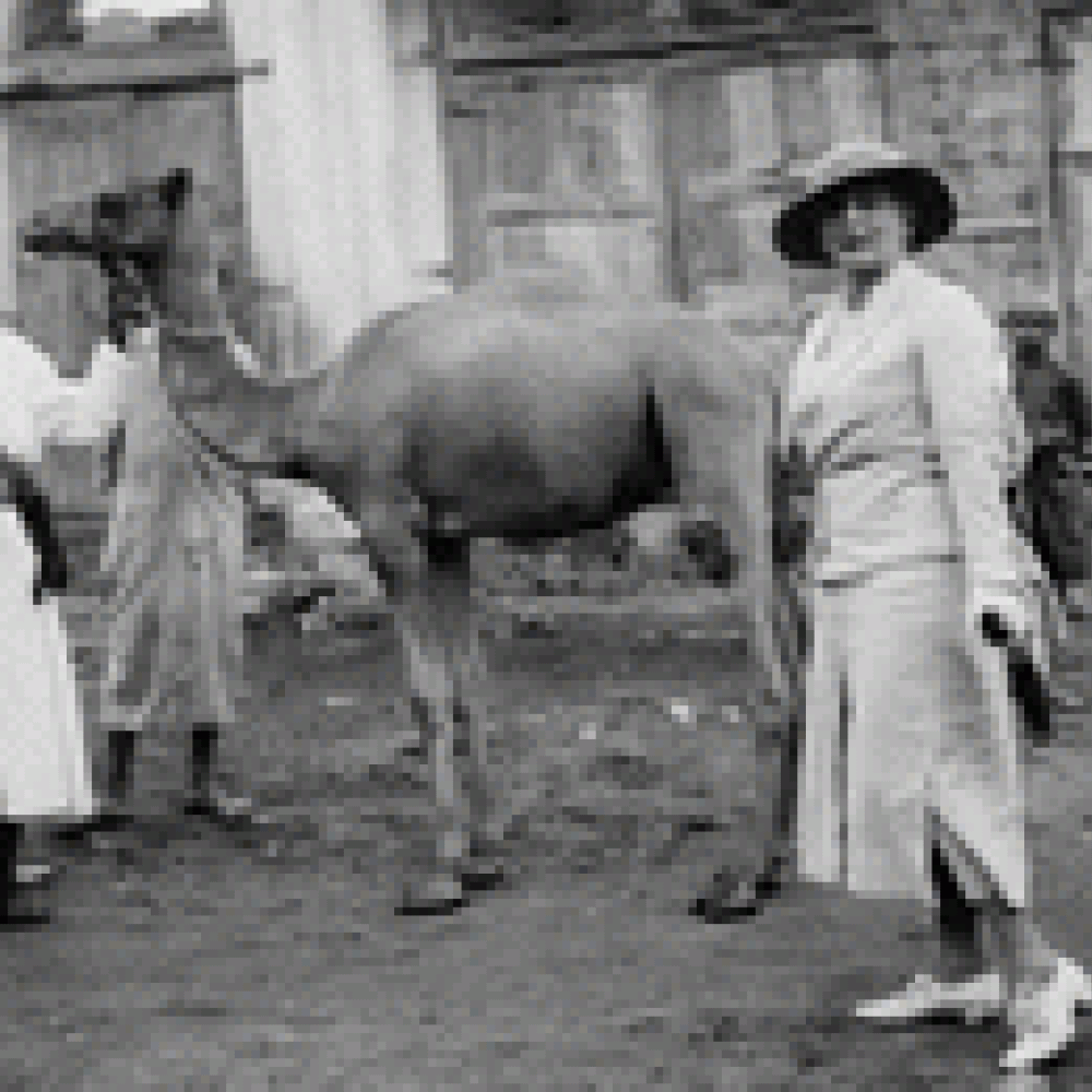 معرض تاريخي لصور الأميرة آليس في السعودية عام 1938