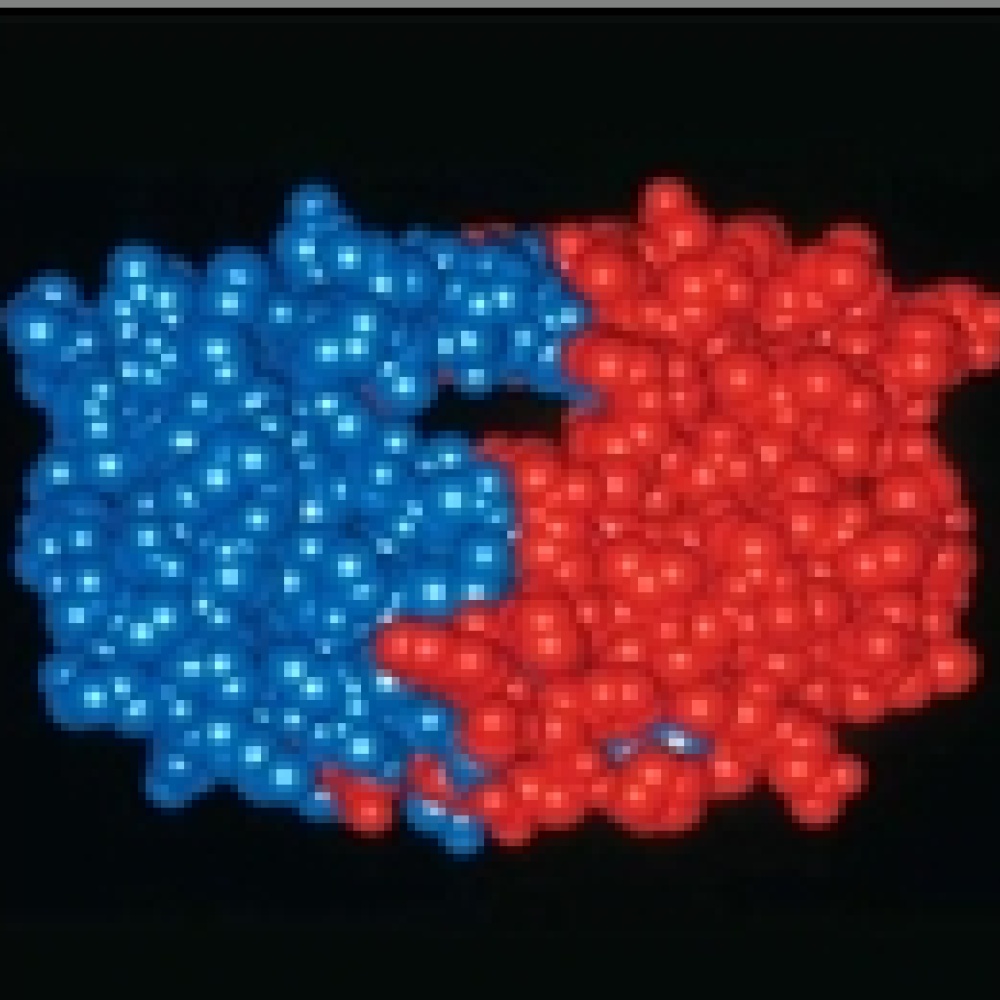 أنزيم بروتيني قد يشكل مدخلا لعلاج السرطان