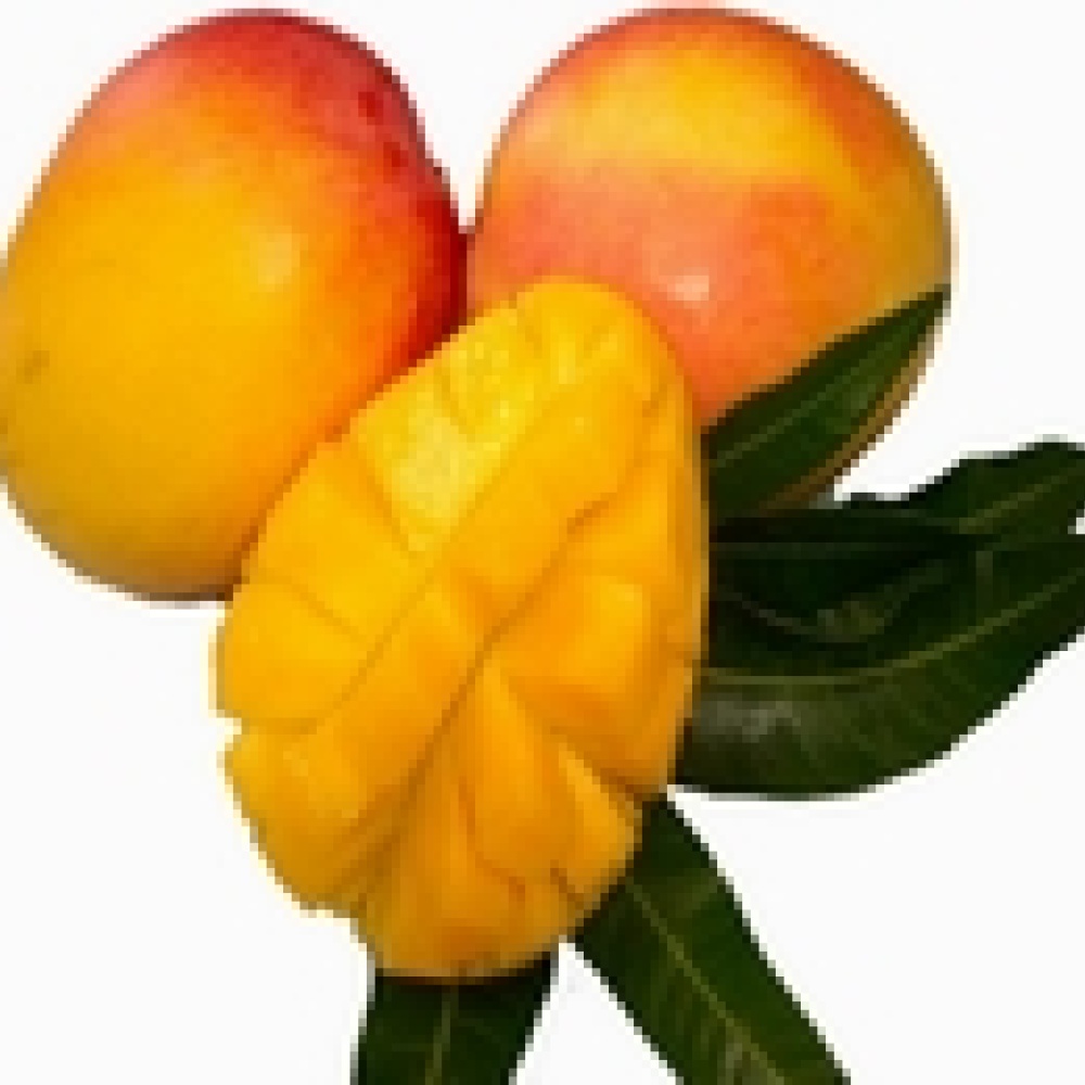 المانغو مثالي للذاكرة والاسترخاء