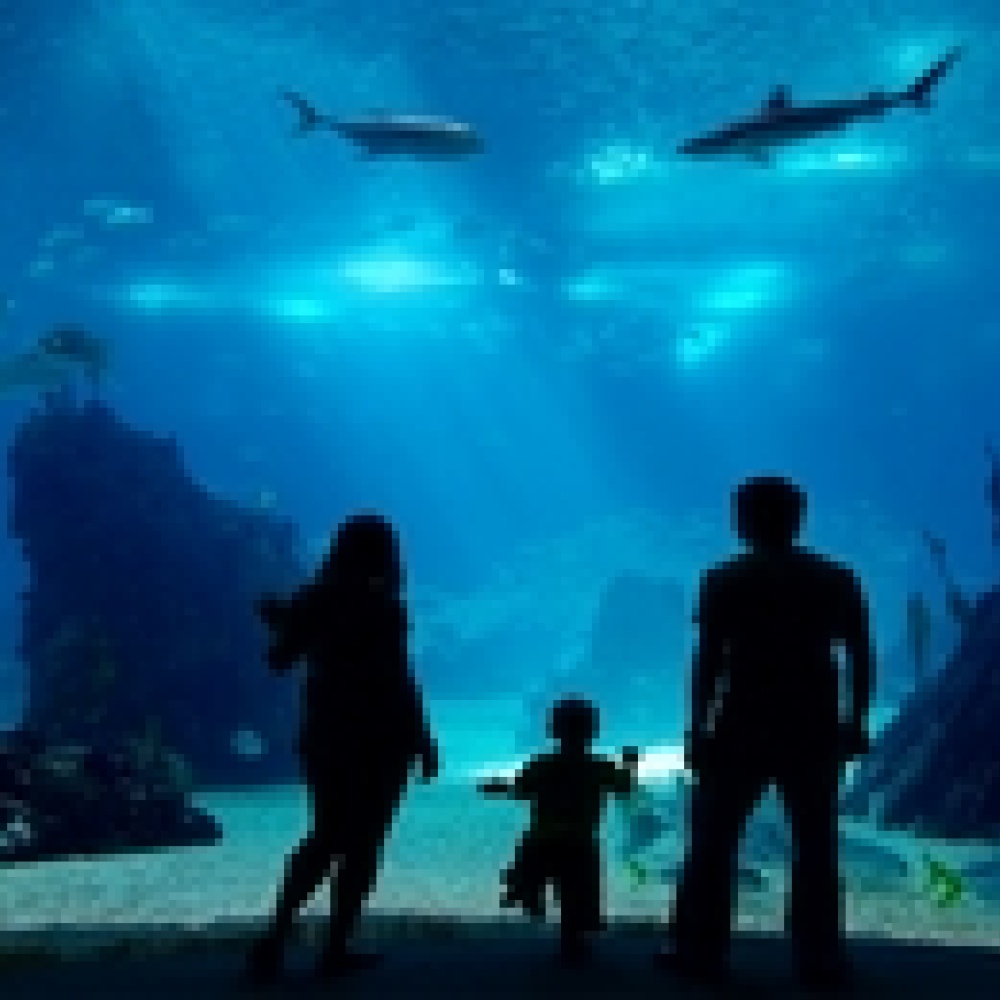 جزيرة سيلت قبلة السياح في ألمانيا