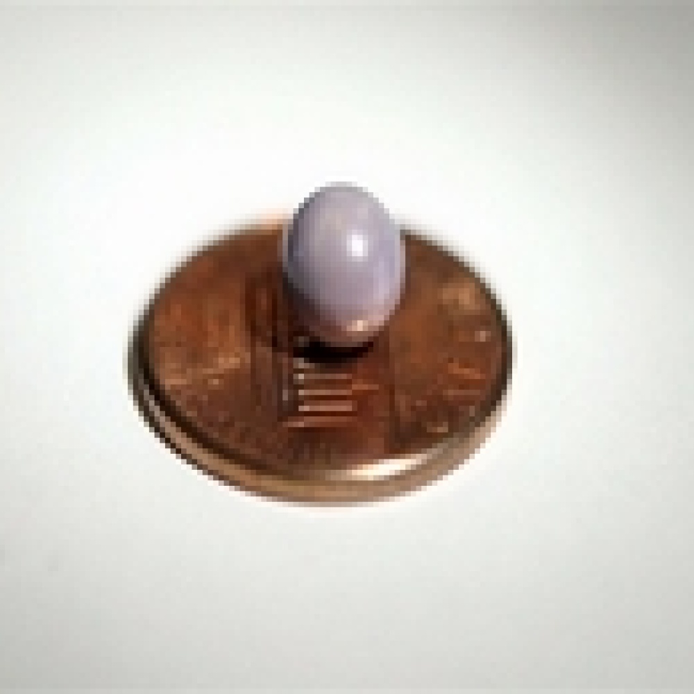 لؤلؤة طبيعة نادرة في معرض عجائب اللؤلؤ