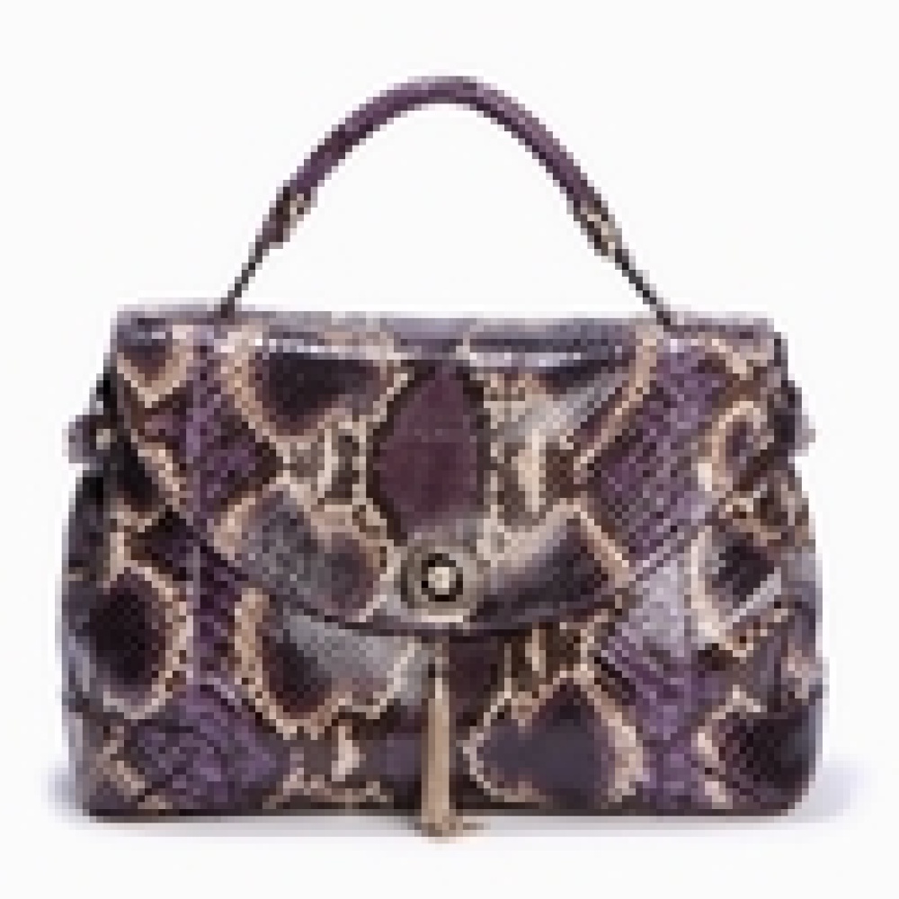 حقائب فانيتاس