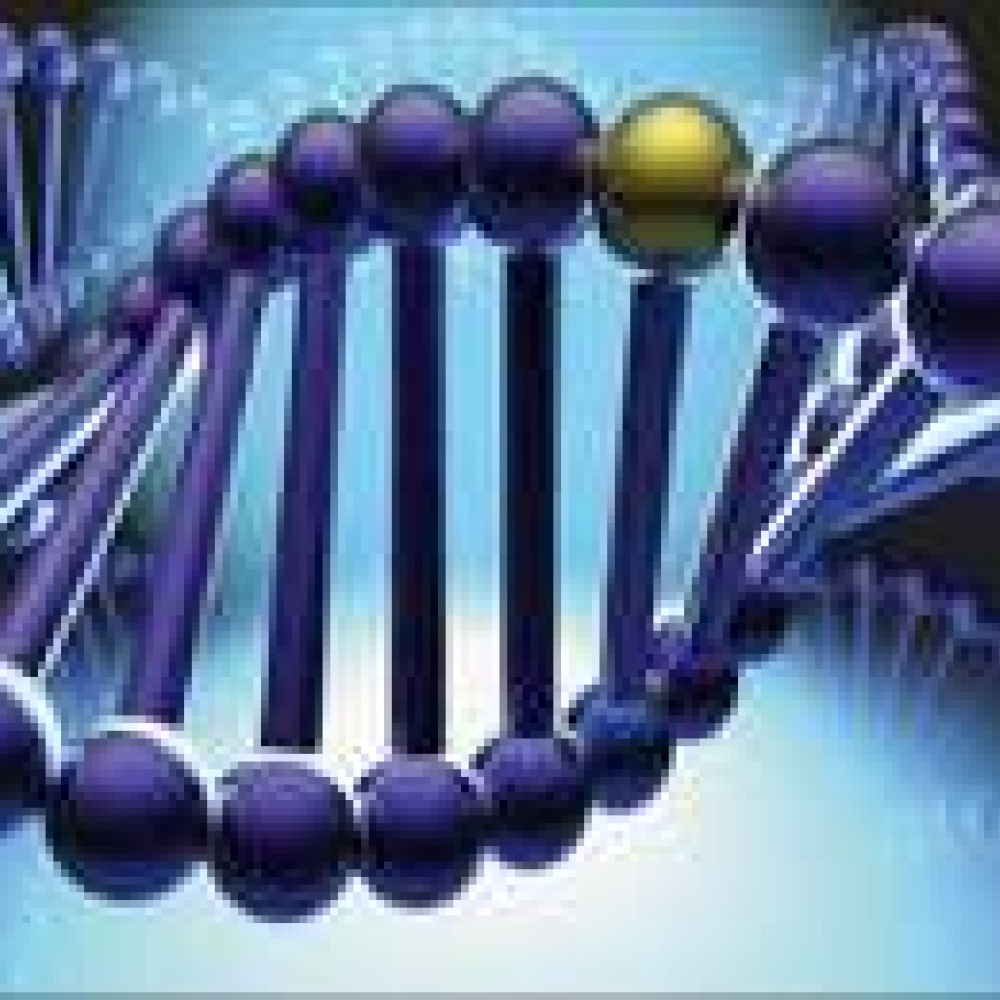 فحوص جينية تساعد أصحاب الحمية الغذائية