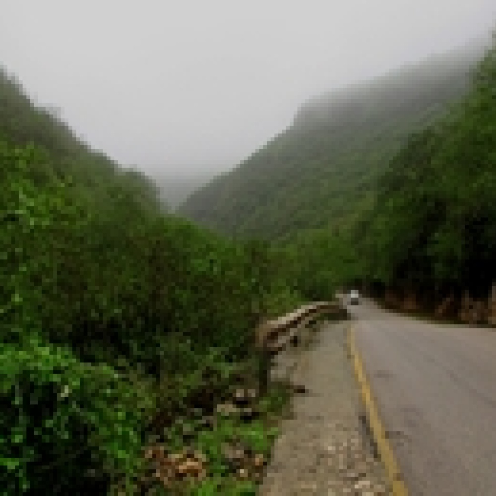 ارتفاع عدد زوار خريف صلالة بنسبة 25%