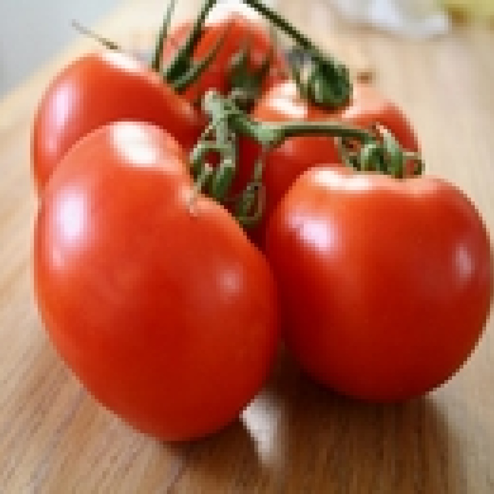 طماطم إيطالية خارقة لمحاربة الشيخوخة