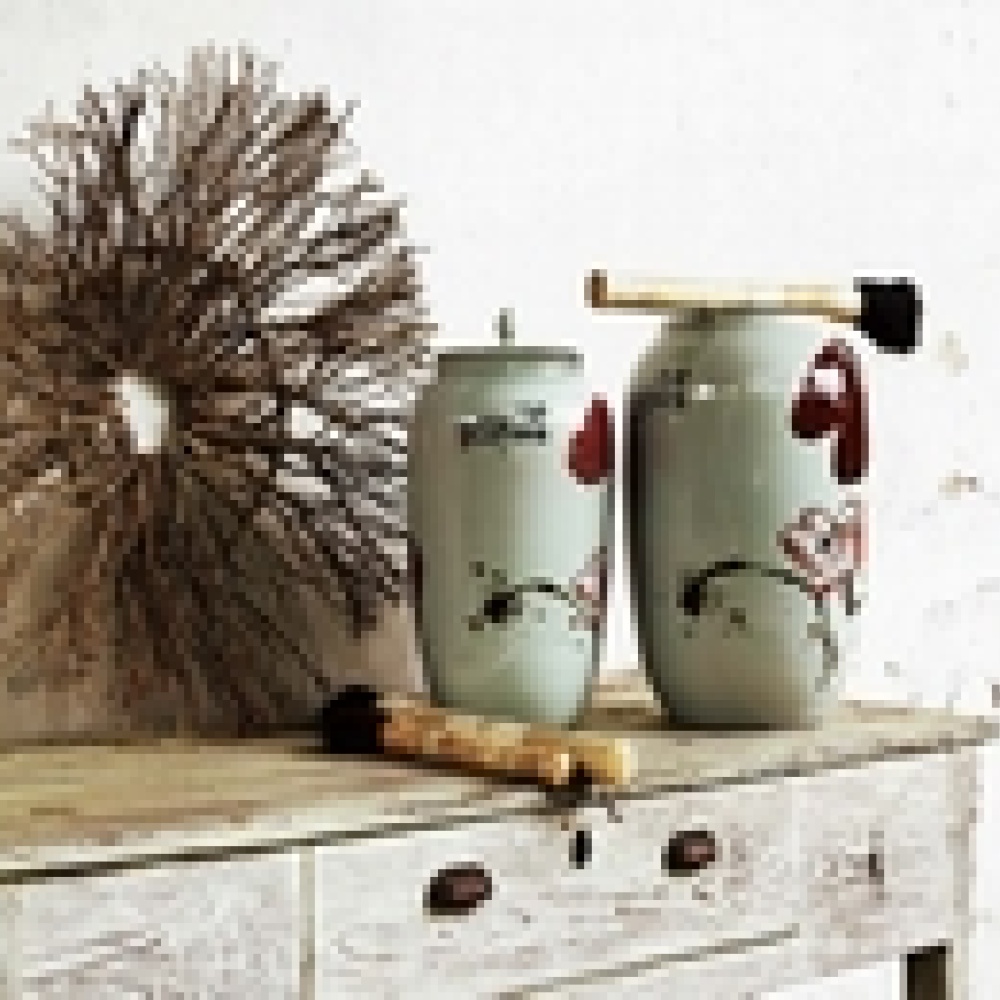 المزهريات ديكورات خفيفة تميز منزلك