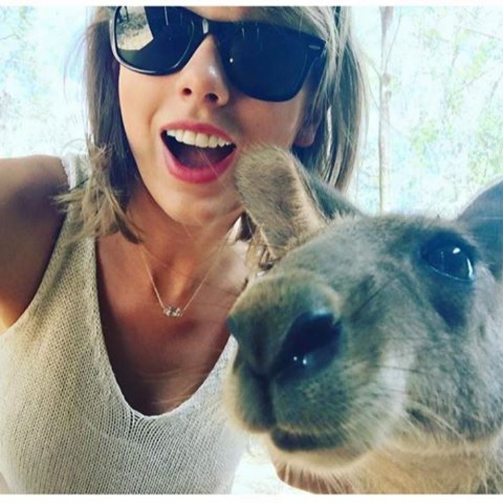 تايلور سويفت تأخذ صورة سيلفي مع الكنغر في استراليا هذا الصباح