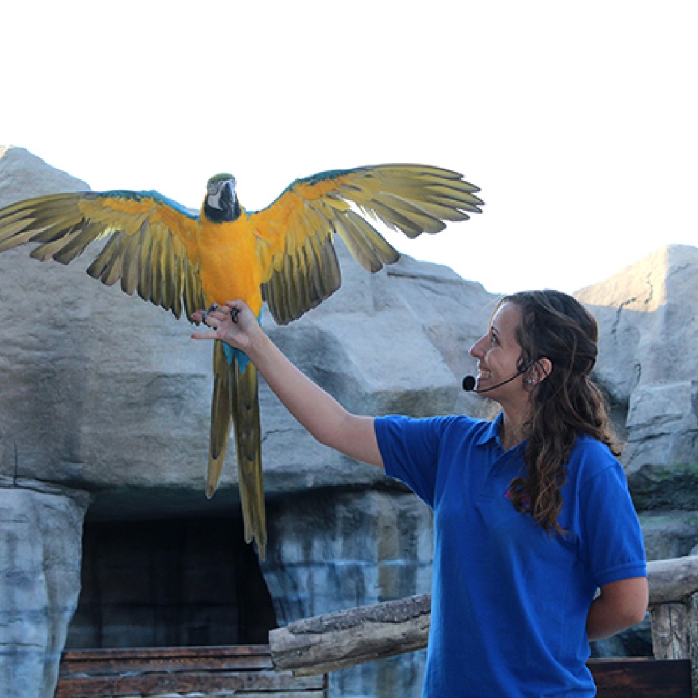 مسرح جديد للعروض التعليمية والتثقيفية في منتجع وحديقة الإمارات للحيوانات