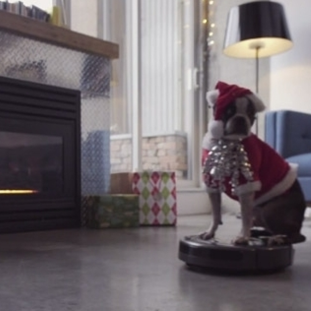 كلب يهنئ الجميع بأعياد الميلاد بطريقته الخاصة