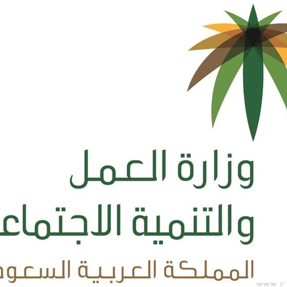 وزارة العمل تطلق اليوم 4 تحديثات جديدة على نظام حماية الأجور