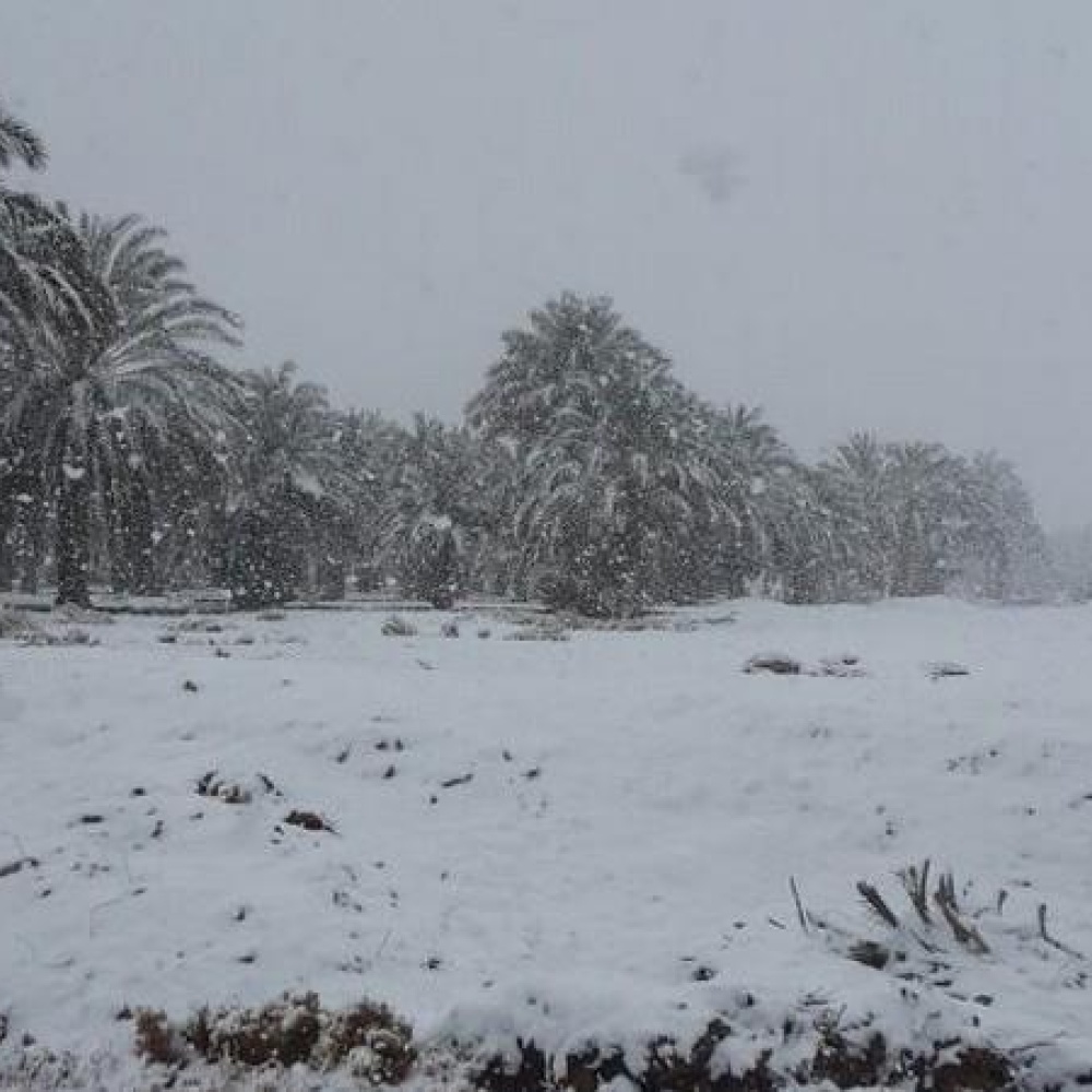 جانب من الثلوج التي سقطت على الحدود الشمالية العام الماضي