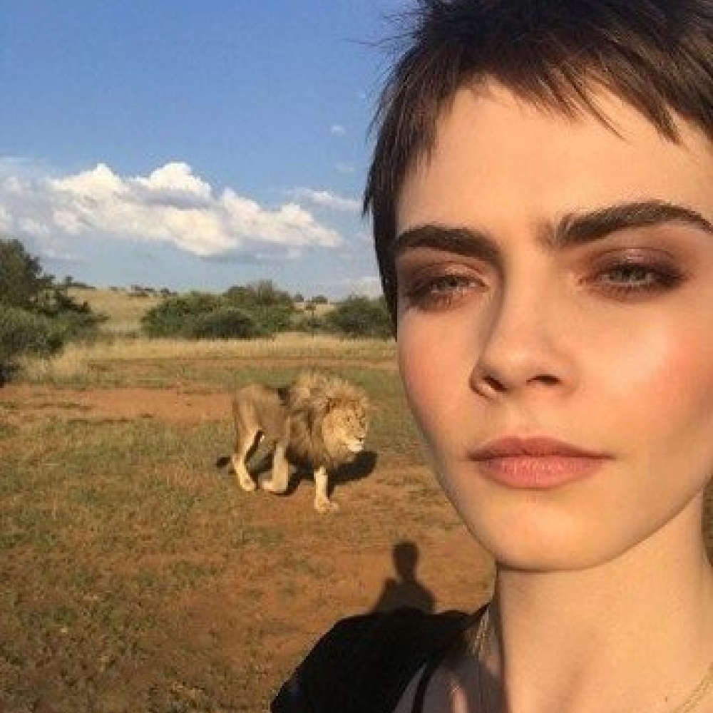 يبدو أن العارضة كارا ديليفين لا تهاب الأسود حيث نشرت هذه الصورة عبر حسابها على الانستقرام ضمن جلسة تصوير