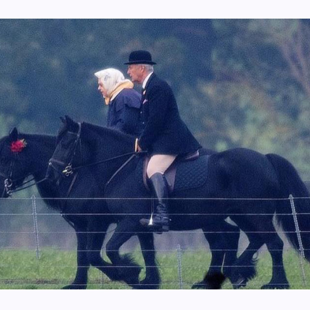 الملكة إليزابيث تُمارس هوايتها المفضلة بركوب الخيل في قلعة وندسور