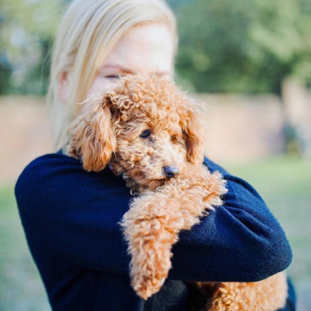 نيكول كيدمان تشارك جمهورها هذه الصورة اللطيفة