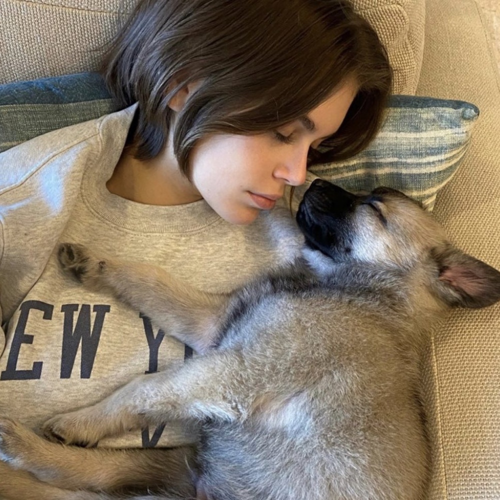 نشرت كايا جربر صورة لطيفة لها في المنزل