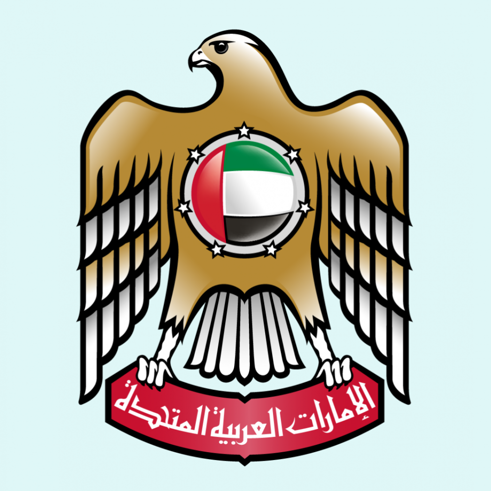 180 خدمة ذكية عن بعد للمتعاملين من حكومة الإمارات