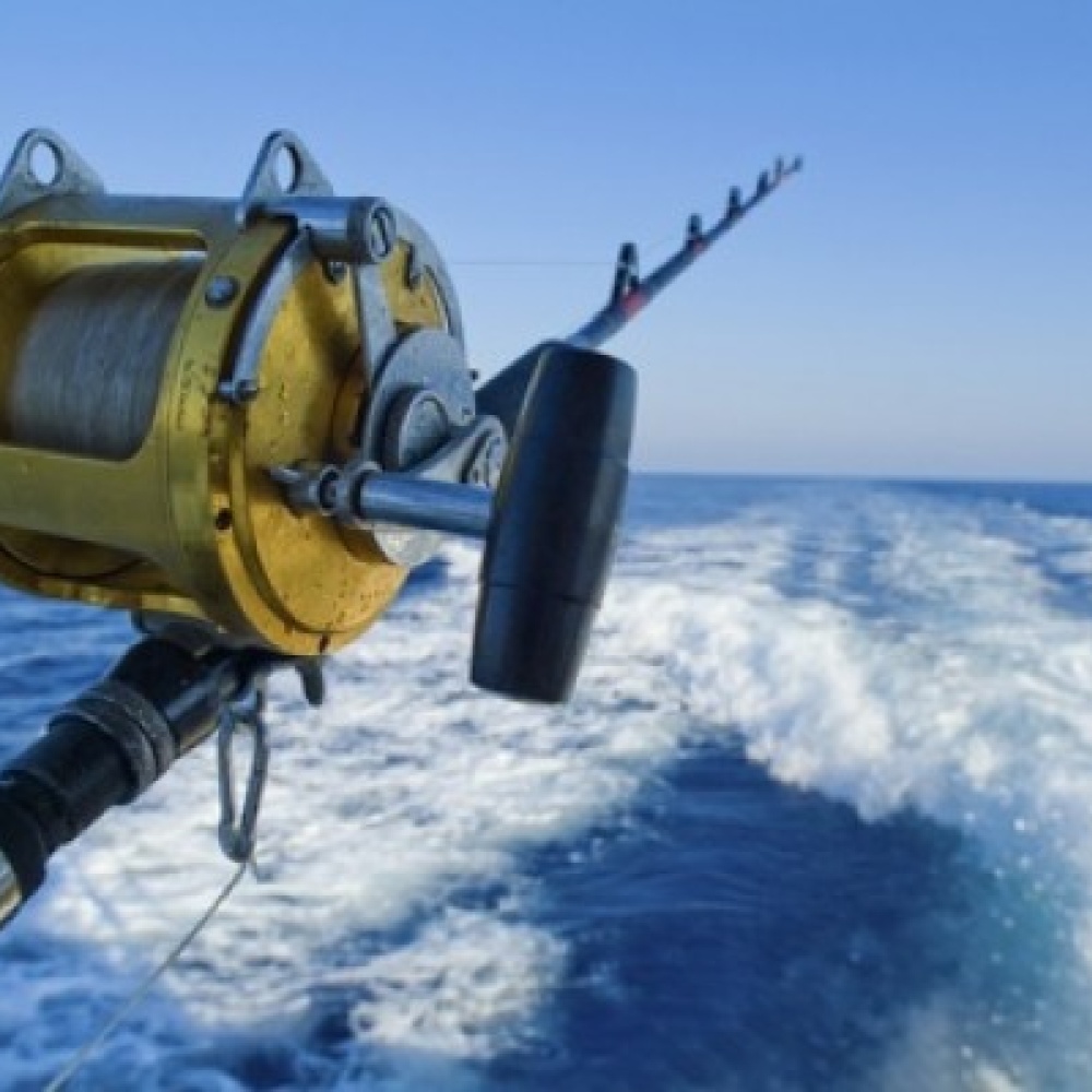 شاب يصطاد نفسه على كورنيش جدة