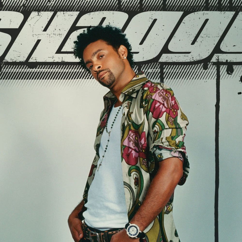 شاغي Shaggy