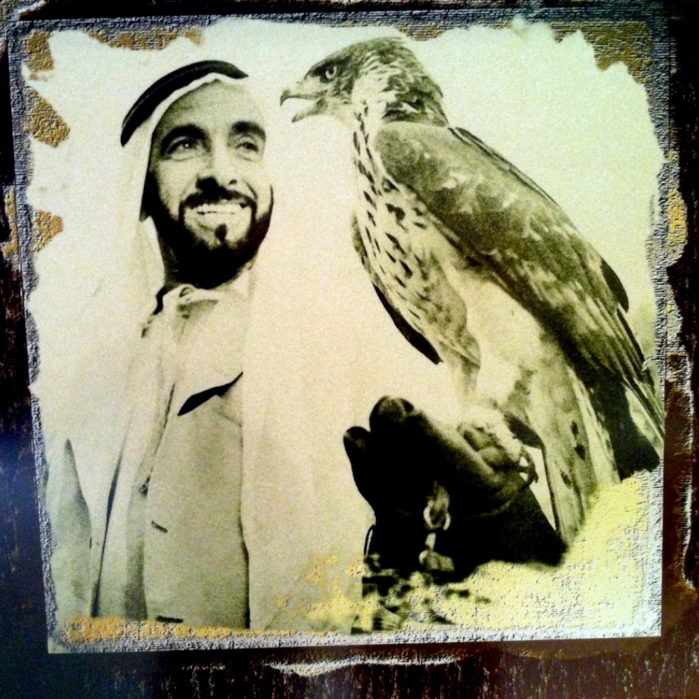 دبي للعطاء تفعّل يوم زايد للعمل الإنساني