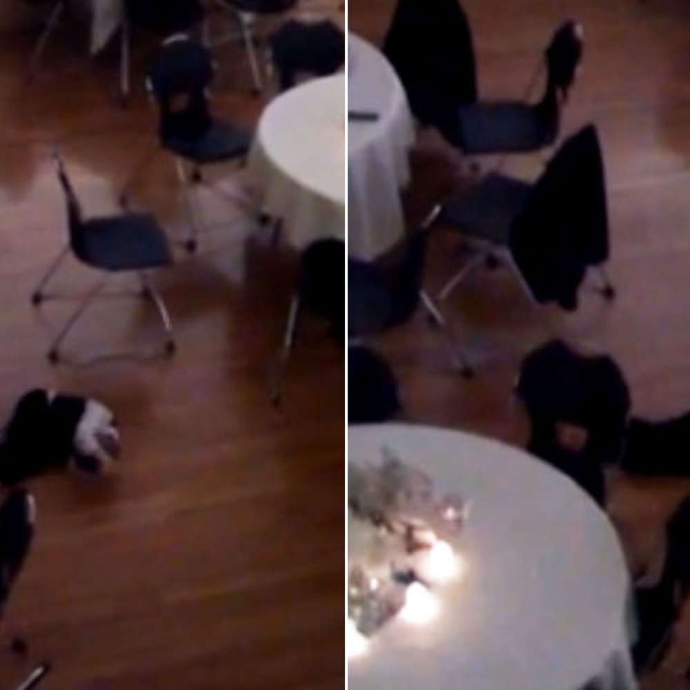 أروع رقصة من طفل في حفل زفاف