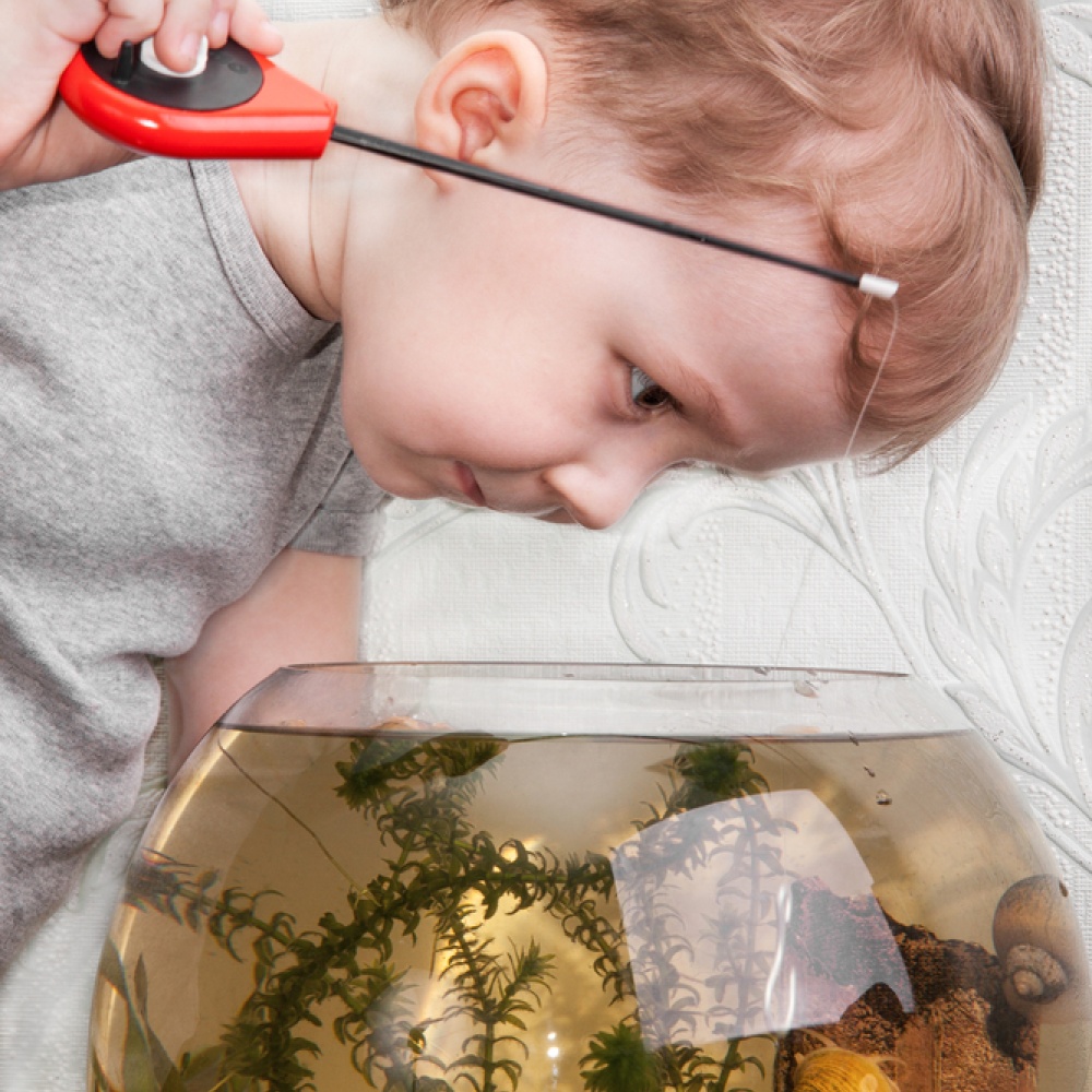 فيديو.. طفل يودع سمكته الذهبية بالدموع