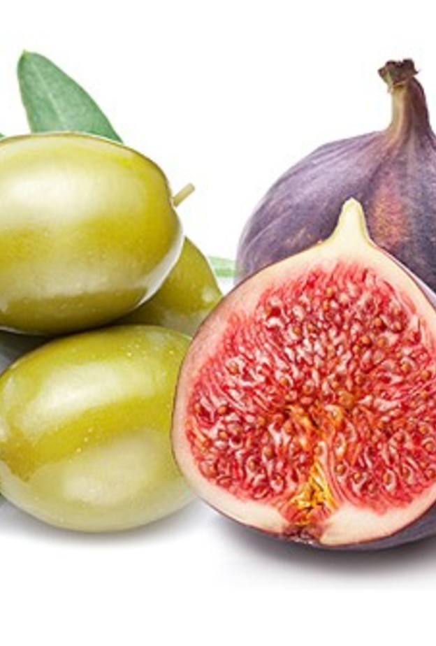 التين و الزيتون يمنحان الجسم طاقة و حيوية