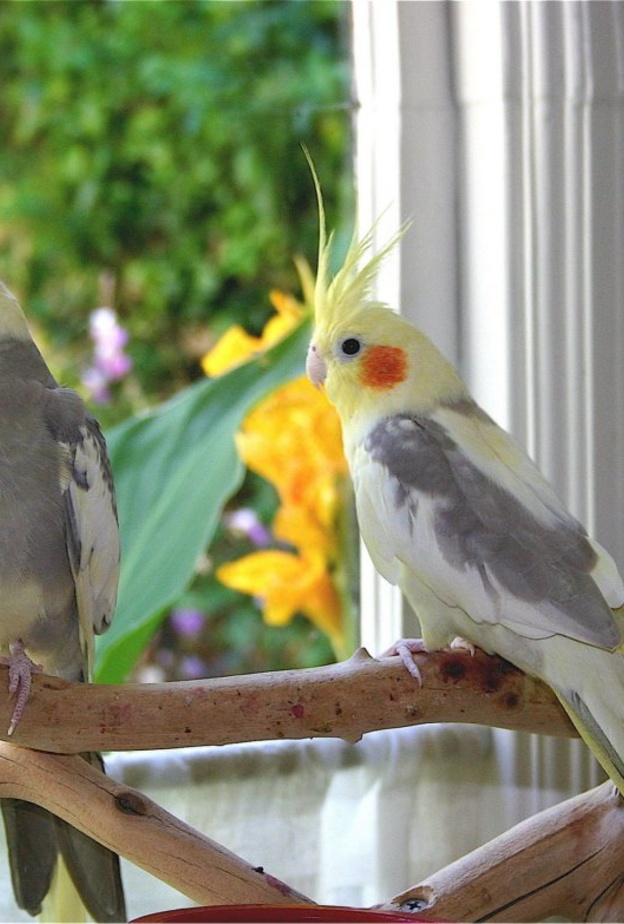 وزارة البيئة والمياه والزراعة